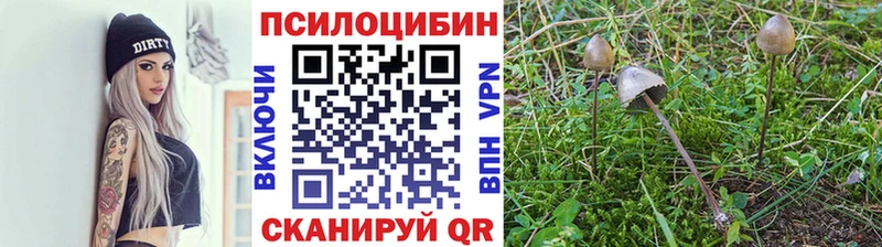 Псилоцибиновые грибы MAGIC MUSHROOMS  Белово 